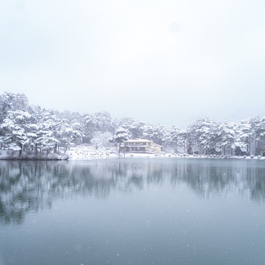 村のくまが撮影した「風景」の写真