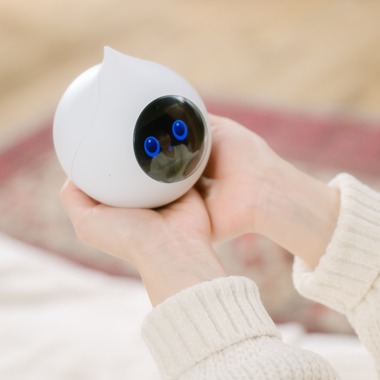 Kengohino photographyが撮影した「商品×人物広告」の写真