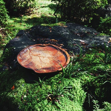 kiharu&photoが撮影した「螺鈿細工【展覧会カタログ用撮影】」の写真