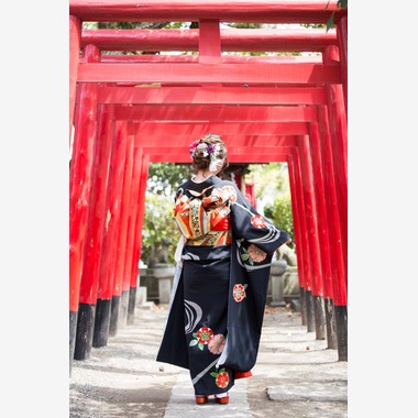 汐音が撮影した「「桜が舞い散る季節」」の写真