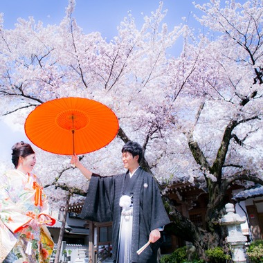 阿部写真館　大阪本町 靭公園前が撮影した「桜」の写真