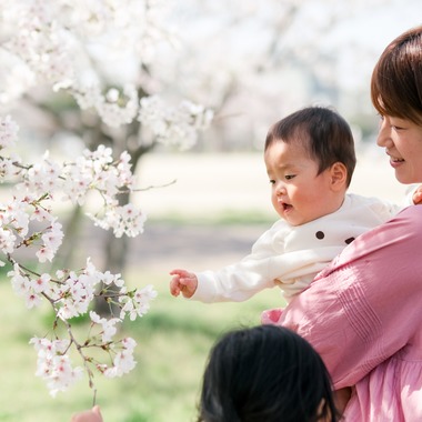 moufotoが撮影した「桜ファミリーフォト」の写真