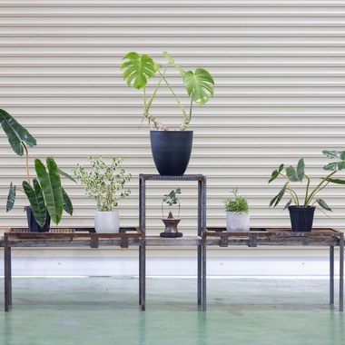 梅田　紫邑が撮影した「物撮り撮影」の写真