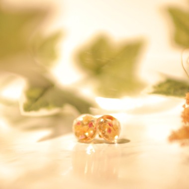 菅谷亜由美が撮影した「レストラン、商品撮影」の写真