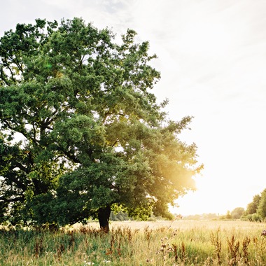 Photo taken by Kasia Bacq Photographer - 