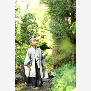 Photographer  Tomoが撮影した「七五三祝い」の写真