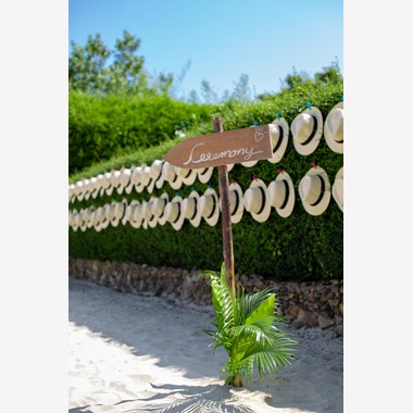 Alex Dadushcoが撮影した「ビーチウェディング写真」のウェディングフォト