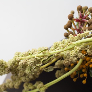 合同会社ENLIGHTENMENTが撮影した「スティル・ライフ」の写真