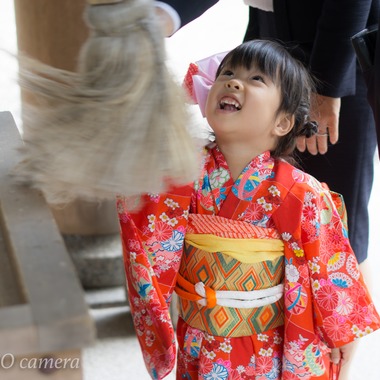 出張撮影サービス　kuro NICO cameraが撮影した「3歳女の子＊七五三＠静岡」の写真