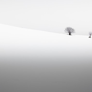 アンドCが撮影した「wabiSabi」の写真