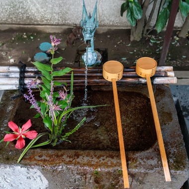 photobeehiveが撮影した「店舗・不動産・サロン・料理撮影」の写真