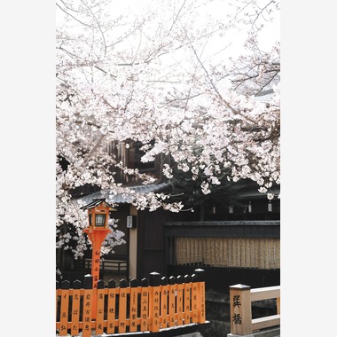 三谷 朋也が撮影した「日本の風景」の写真