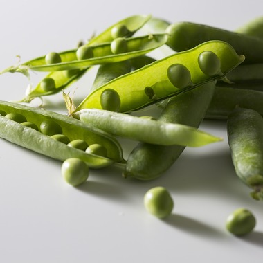 東谷　幸一が撮影した「料理素材」の写真