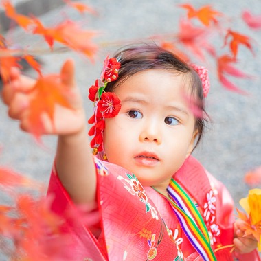 大森美紗生が撮影した「武田神社(山梨県)での七五三ロケーションフォト」の写真