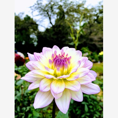 LOVEPHOTOS23が撮影した「」の写真