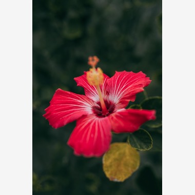 ポートレート沖縄が出張撮影した「自然の中の家族の自然な姿＠読谷村の海岸と芝生」の家族写真