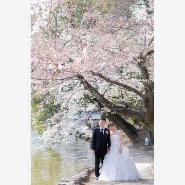 今西健二が撮影した「前撮りロケーション撮影」の写真