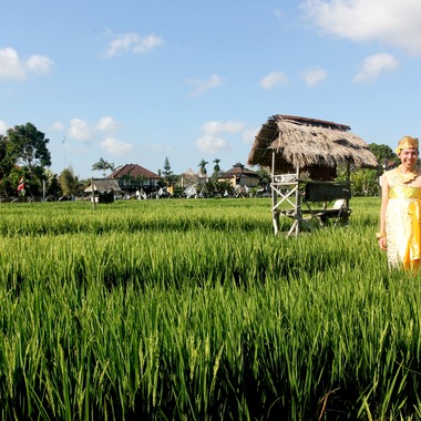 Photo taken by Manis Wedding International - 