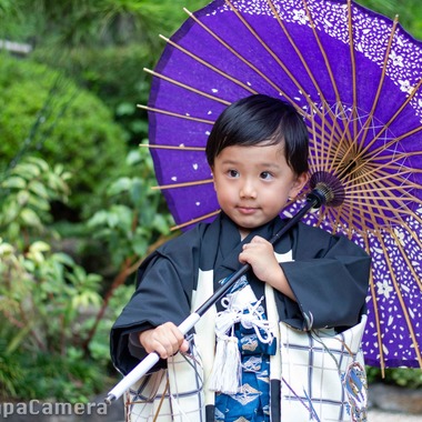 東京パパカメラが撮影した「」の写真