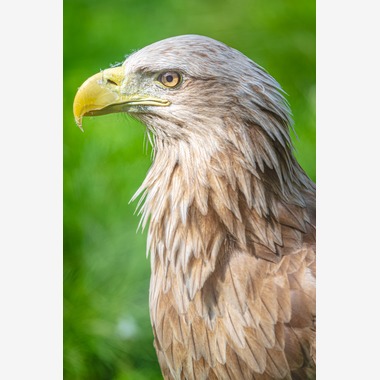 高木勇斗が撮影した「風景」の写真