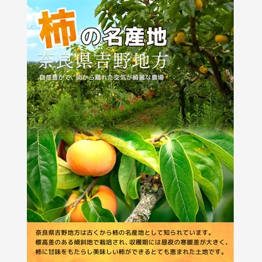 One-axeが撮影した「柿の商品撮影」の写真