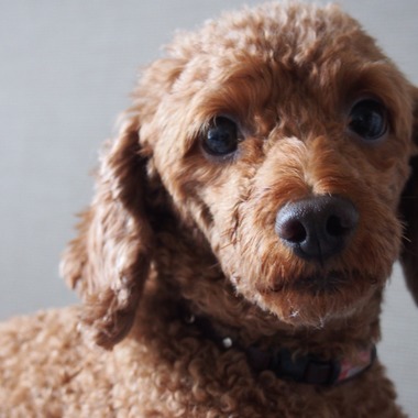 Photo taken by 阿部テスト - 