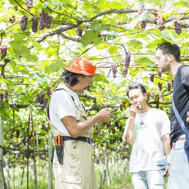 布川航太が撮影した「職人撮影-ワイナリー」の写真