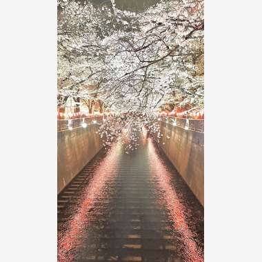 OFFICE CHが撮影した「my photogram」の写真