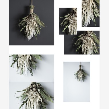 吉田寿仁が撮影した「植物撮影」の写真