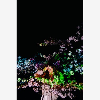 KIRAが撮影した「桜2019」の写真