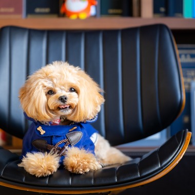 Tajimaが撮影した「ペット」の写真