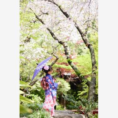 Studio RedStar/家族の想い出が撮影した「記念写真」の写真