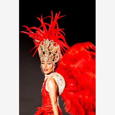 KotobukiPhotosが撮影した「パシスタ（サンバダンサー）」の写真