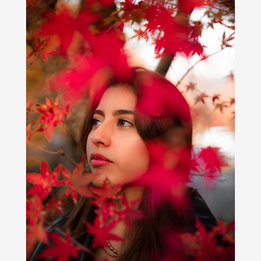 warren nathanが撮影した「art」の写真