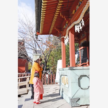 村田わかな広告写真が出張撮影した「まりえちゃん七五三」の家族写真