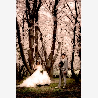 Photo taken by Studio 8 - 