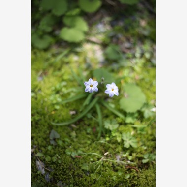 ナカムラが撮影した「」の写真