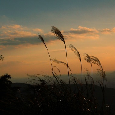 ひときわphotoが撮影した「屋外撮影など」の写真