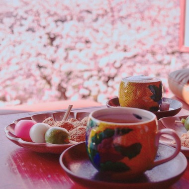 向日葵が撮影した「料理」の写真