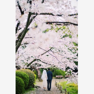 mulinが撮影した「」のウェディングフォト