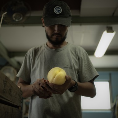 umimoyamamoworksが撮影した「農家さん取材写真」の写真