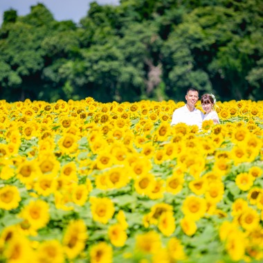 meganecco Photographyが撮影した「結婚式前撮り」の写真