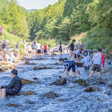 フォトスタジオ　ちっくたっくが撮影した「小学校」の写真