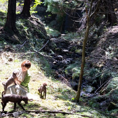 LUCE PHOTO WORKSが撮影した「ペット」の写真