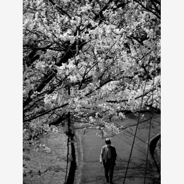 ハイナ　マテウスが撮影した「私の世界では」の写真