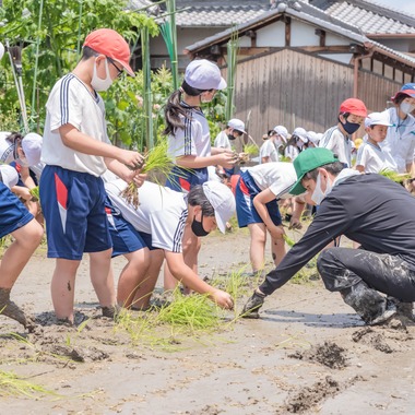 フォトスタジオ　ちっくたっくが撮影した「小学校」の写真