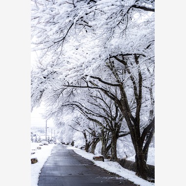 村のくまが撮影した「風景」の写真