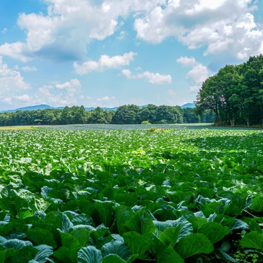 KurickMarry結婚相談所 丨 栗山　稔が撮影した「風景」の写真