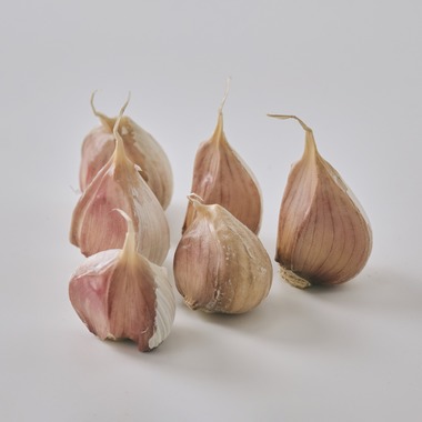 佐藤　陽亮が撮影した「農業法人：商品撮影」の写真