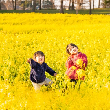maimaiCameraが撮影した「ローケーションフォトサンプル」の写真